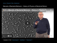 Marvels of Bacterial Behavior – History & Physics of Bacterial Motion
