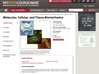 Molecular, Cellular, and Tissue Biomechanics