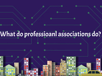 What do professional associations do?