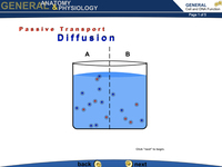 The Cell: Passive Transport Diffusion