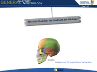 The Axial Skeleton: The Skull and the Rib Cage