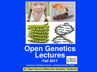 Open genetics lectures, Fall 2017