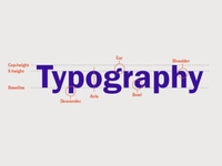 The Ultimate Guide to Basic Typography