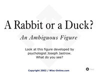 Rabbit or a Duck: An Ambiguous Figure