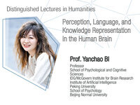 Distinguished lectures in humanities : perception, language, and knowledge representation in the human brain