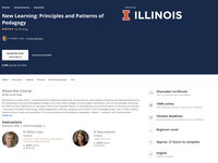 New Learning: Principles and Patterns of Pedagogy