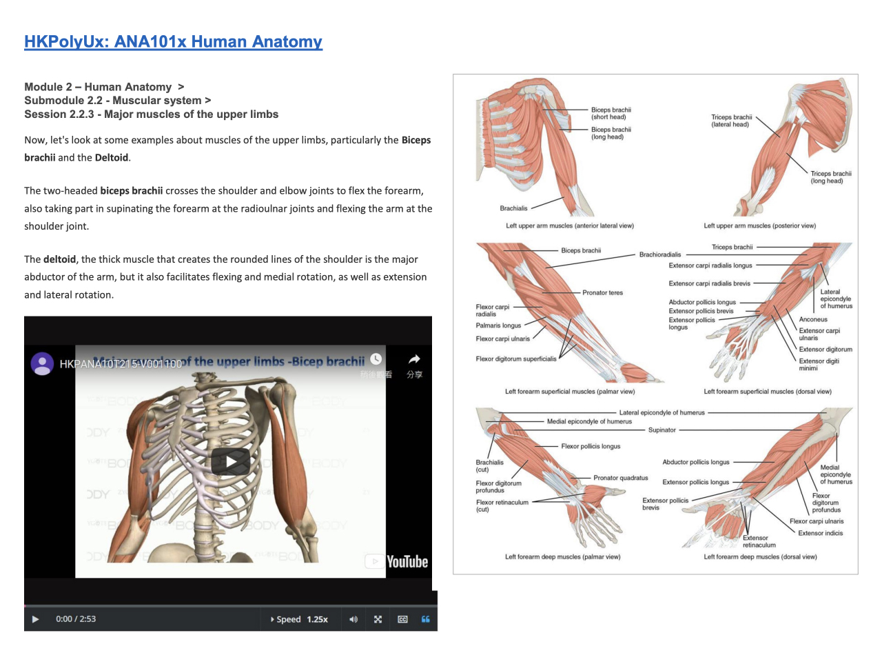 view resource