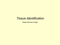 Tissue Identification