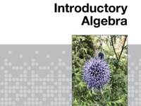 Introductory algebra