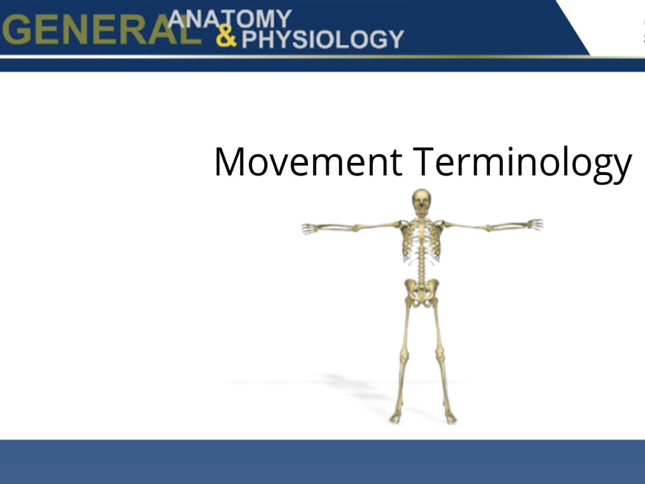 Movement Terminology