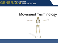 Movement Terminology