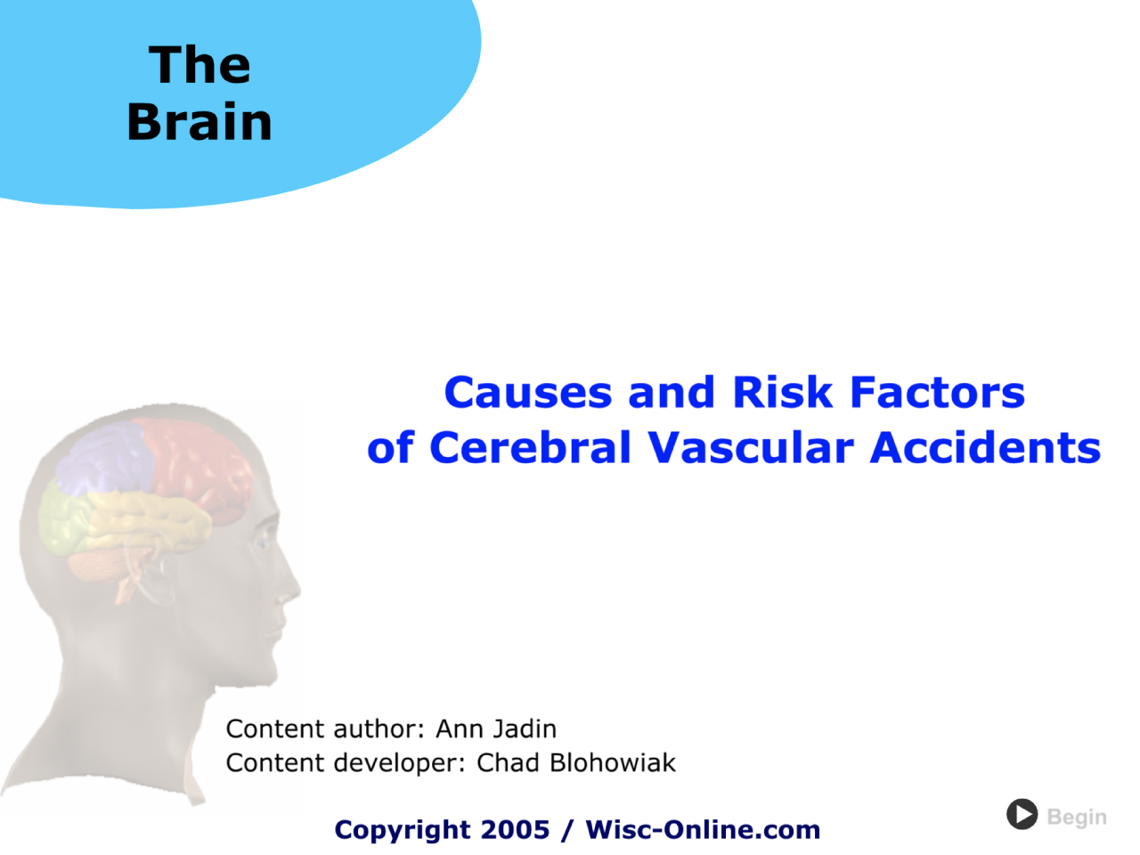 Causes and Risk Factors of Cerebral Vascular Accidents