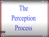 The Perception Process (Screencast)