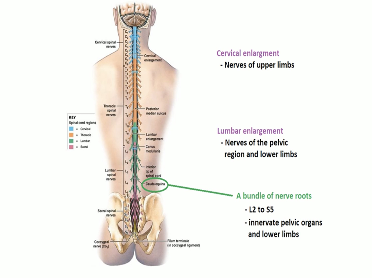 view resource