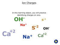 Ion Charges