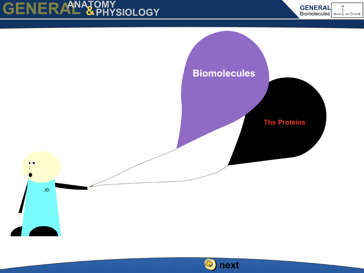 Biomolecules: The Proteins (Video)