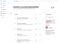 Machine Learning Explainability