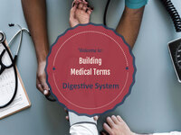 Building Medical Terms for the Digestive System