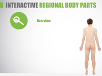 Regional Body Parts