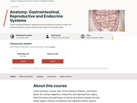 Anatomy: Gastrointestinal, Reproductive and Endocrine Systems