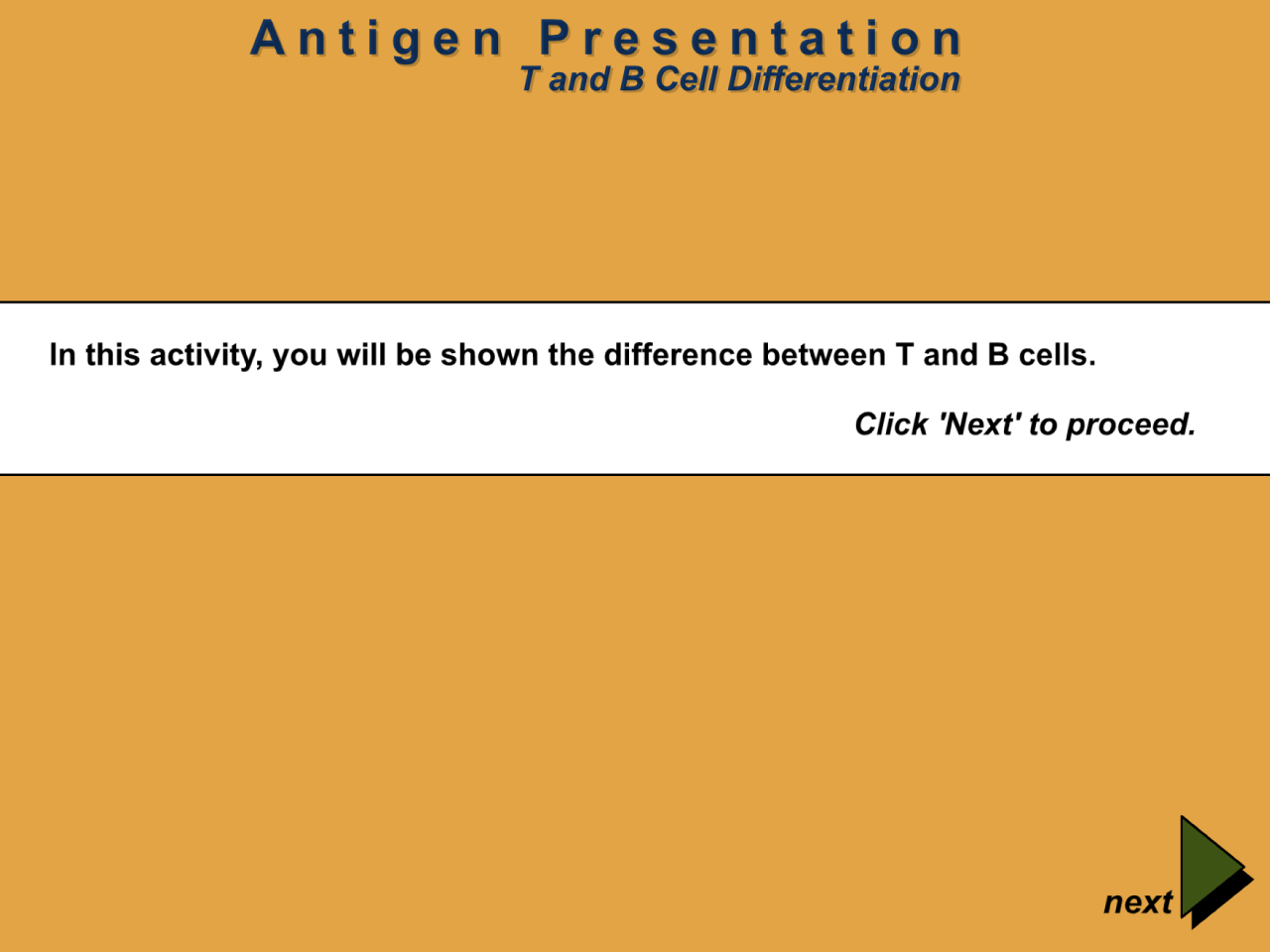 Antigen Presentation: T and B Cell Differentiation