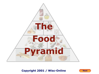 The Food Pyramid