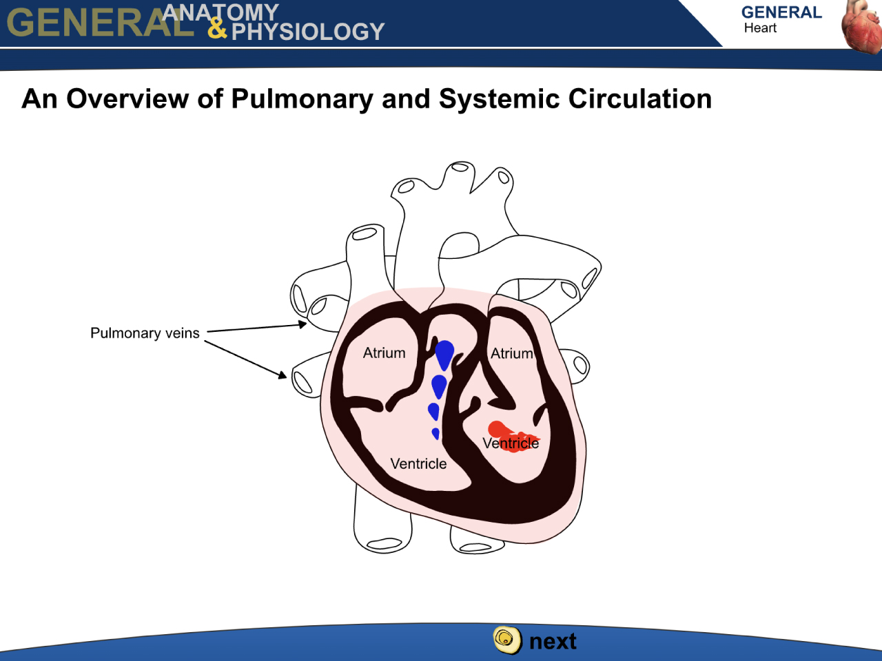 view resource