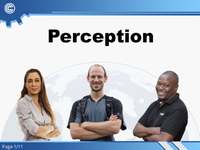 Perception - Understanding the World Around You