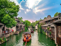 The Case of Wuzhen | GreatCase100