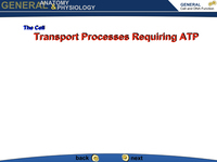 Transport Processes Requiring ATP