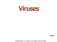 Viruses