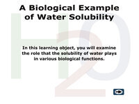 A Biological Example of Water Solubility