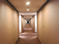 ["Empowering Visually Impaired Guests: A Case of Hilton"]