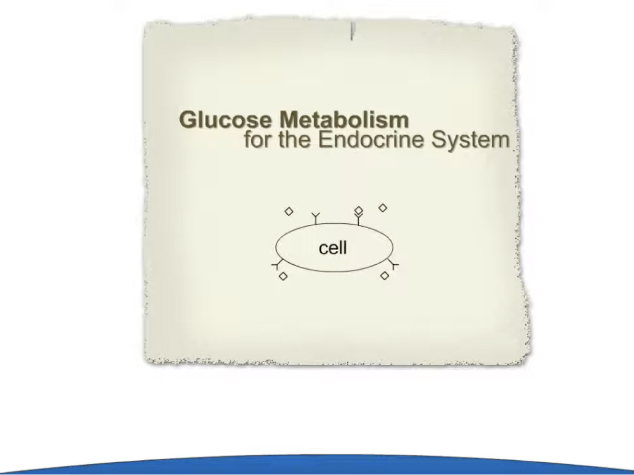 Glucose Metabolism for the Endocrine System (Screencast)
