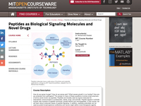 Peptides as Biological Signaling Molecules and Novel Drugs