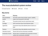 The musculoskeletal system review