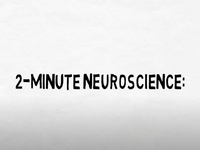 2-Minute Neuroscience: Neuroimaging