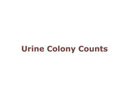 Urine Colony Counts (Screencast)