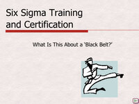 Six Sigma Training and Certification