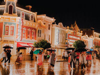 ["Navigating Climate Change and Extreme Weather: A Case of Walt Disney World"]