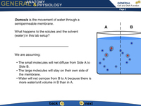 The Cell: Passive Transport Osmosis