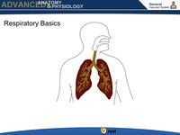 Respiratory Basics