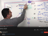 Metabolism | Glycolysis