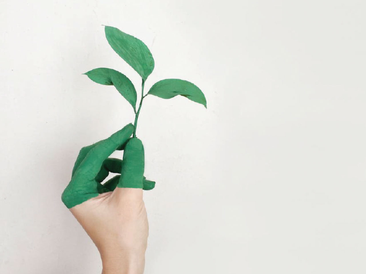 Sustainable Meetings: A Case of Marriott’s Connect Responsibly Program
