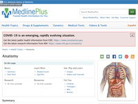 Medline Plus: Anatomy