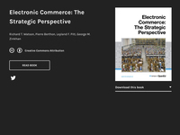 Electronic Commerce: The Strategic Perspective