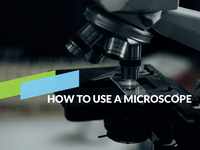 How to Use a Microscope