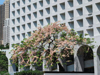Historical Building Turned 5-Star Hotel: A Case of The Murray Hong Kong