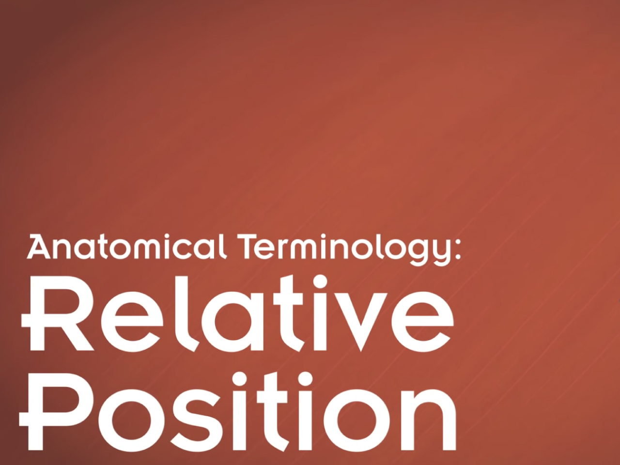 Anatomical Terminology: Relative Position Video