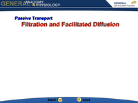 Passive Transport: Filtration and Facilitated Diffusion